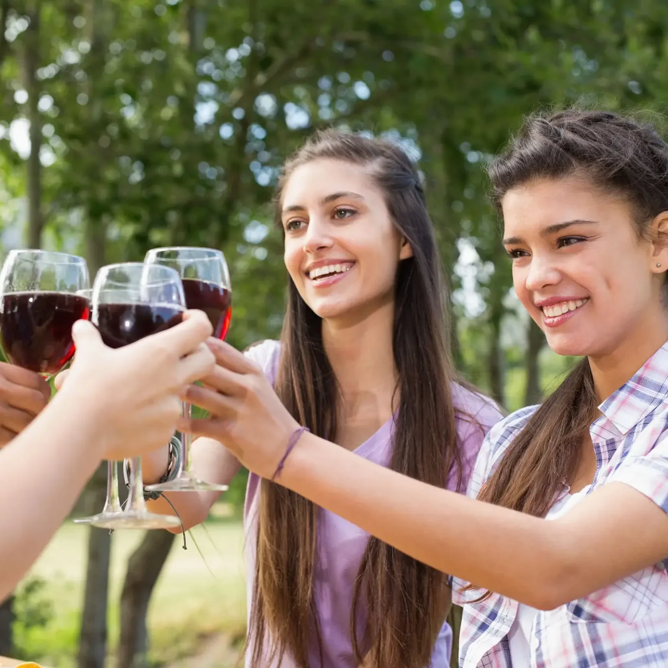 Friends toasting with red wine glasses outdoors